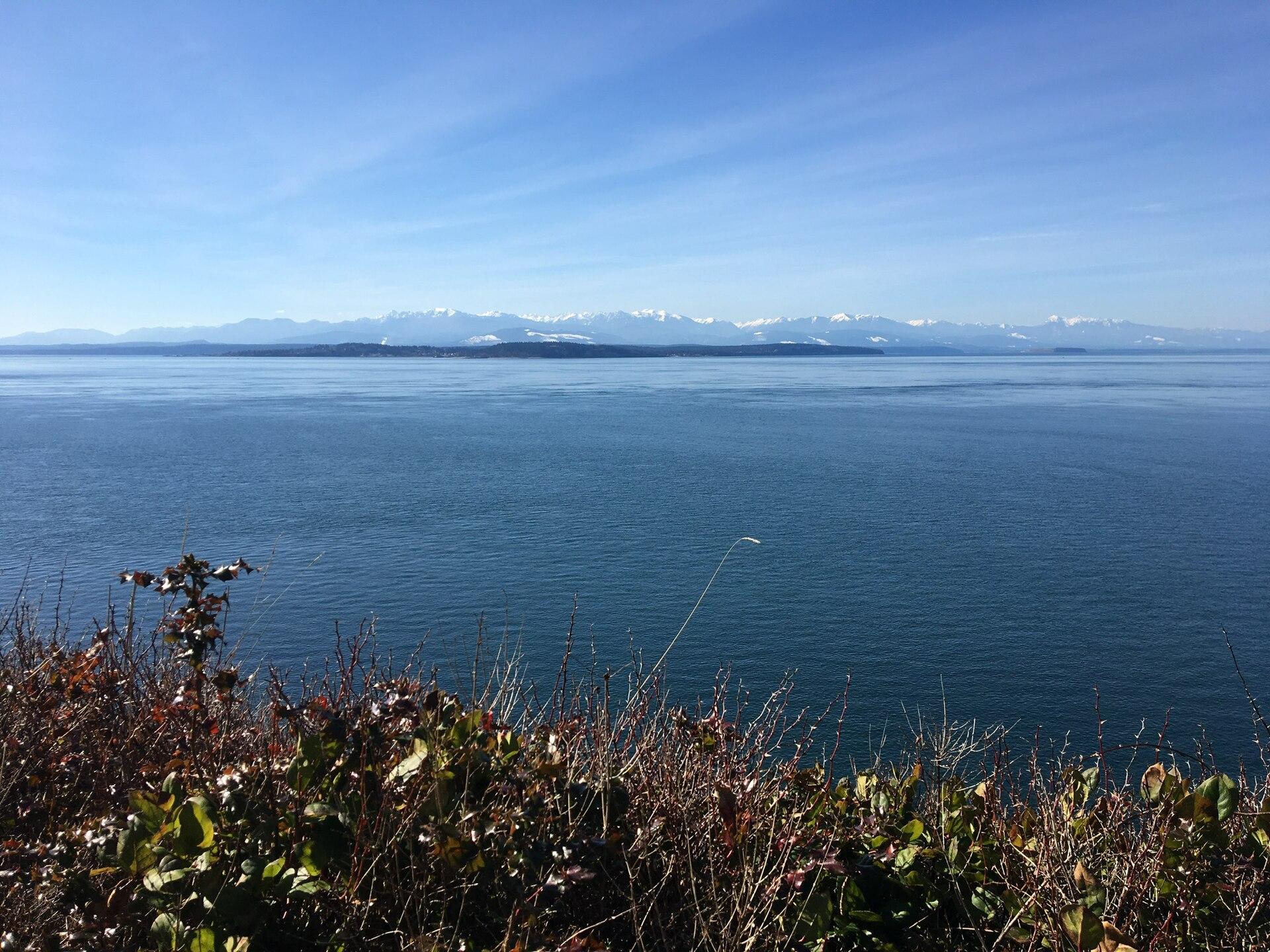 View of Puget Sound and the Olympic Mountains from the bluff at Ebey's Landing